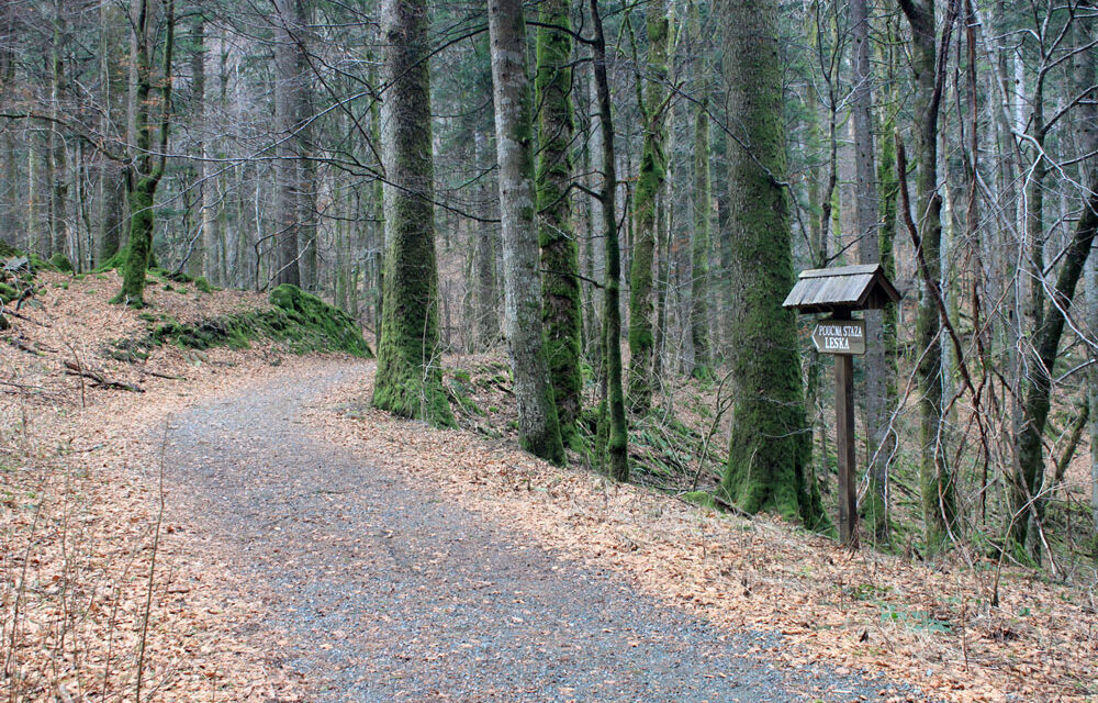 http://www.mak-usluge.hr/wp-content/uploads/2021/02/staza-2-1000x640.jpg